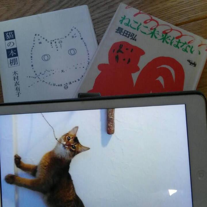 D9c4aae2 58b2 4a99 8bc4 e37458130146 1570703661985