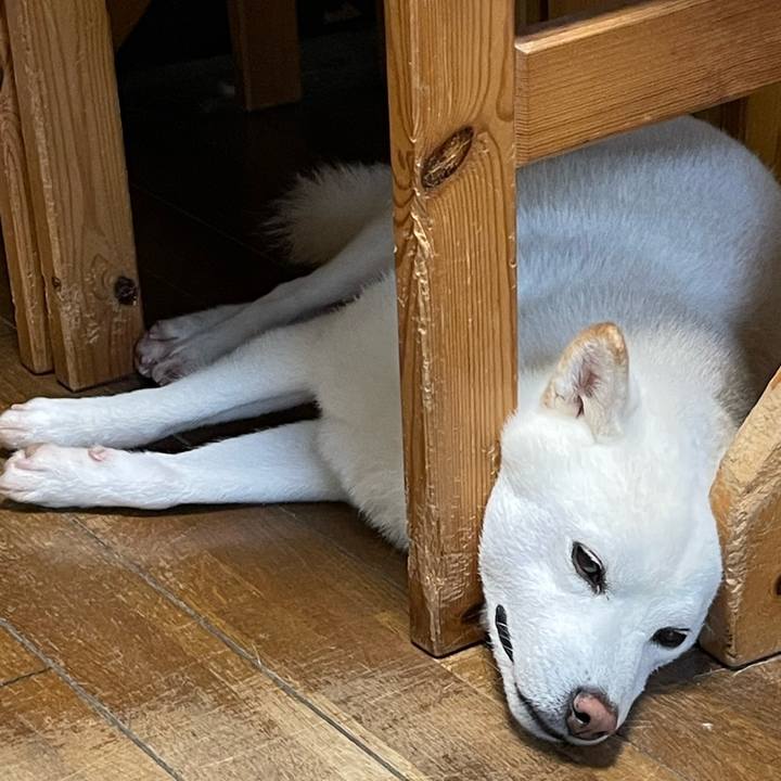 D9c4c988 f105 4595 8e18 33cdbfa98771 1659153827047