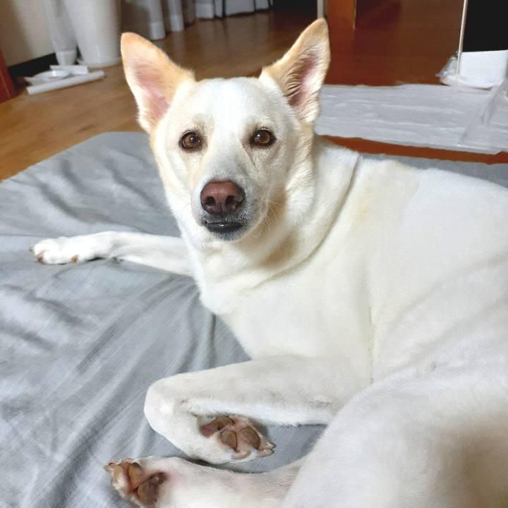 D9c4dcd5 4008 4cb9 b0f5 e692f00992d2 1625830381928