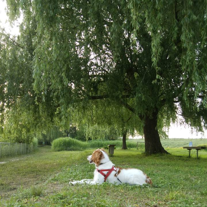 D9c50ce4 49ad 435e 88cd a21844490ef7 1526547112681