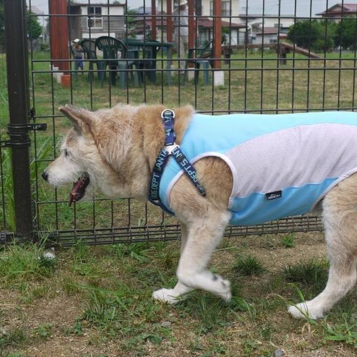 D9c52318 f49b 4e7b 98d8 6112d4b6e367 1565337298953