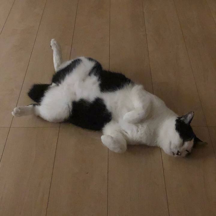 D9c52da2 efa0 4e6a 9651 1cb07c5666bd 1595266353200