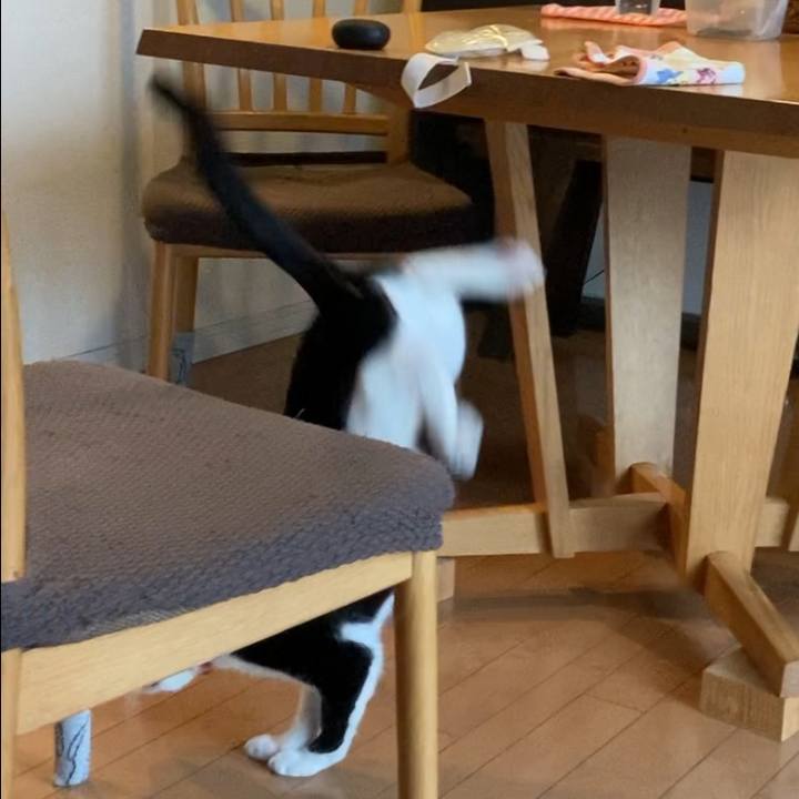 D9c53043 3eb4 40ae 80bd 0f8aa84a4bf7 1620875827304