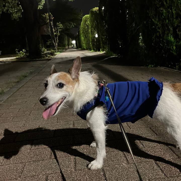 D9c5308d af72 49c8 a0e0 2a2d42834277 1692495516214