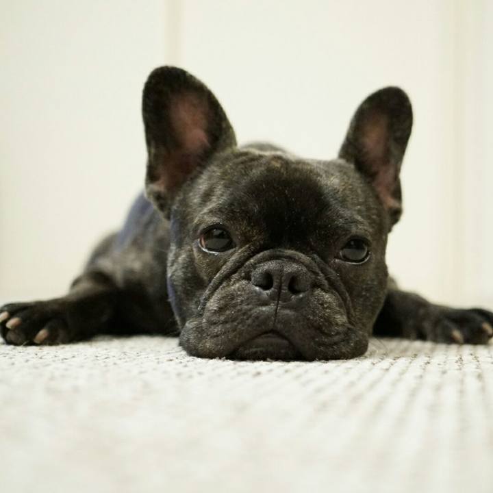 D9c55656 f3d1 4238 bb12 22bce2425df6 1519738133720