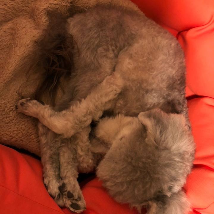 D9c59d32 0cb8 484c 9f39 e52f5dadebfb 1558356285741