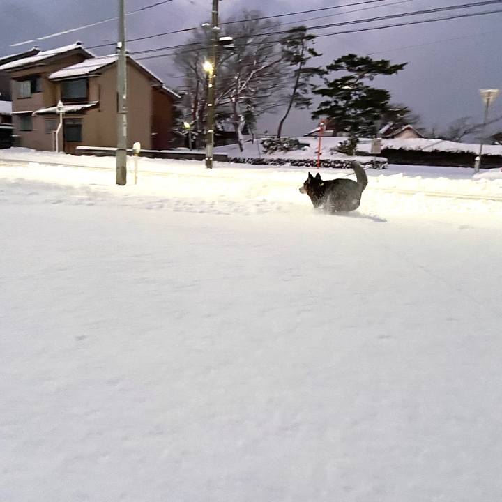 D9c5a2ad 9aa0 4d00 a5d3 54a3c7836685 1736462330210