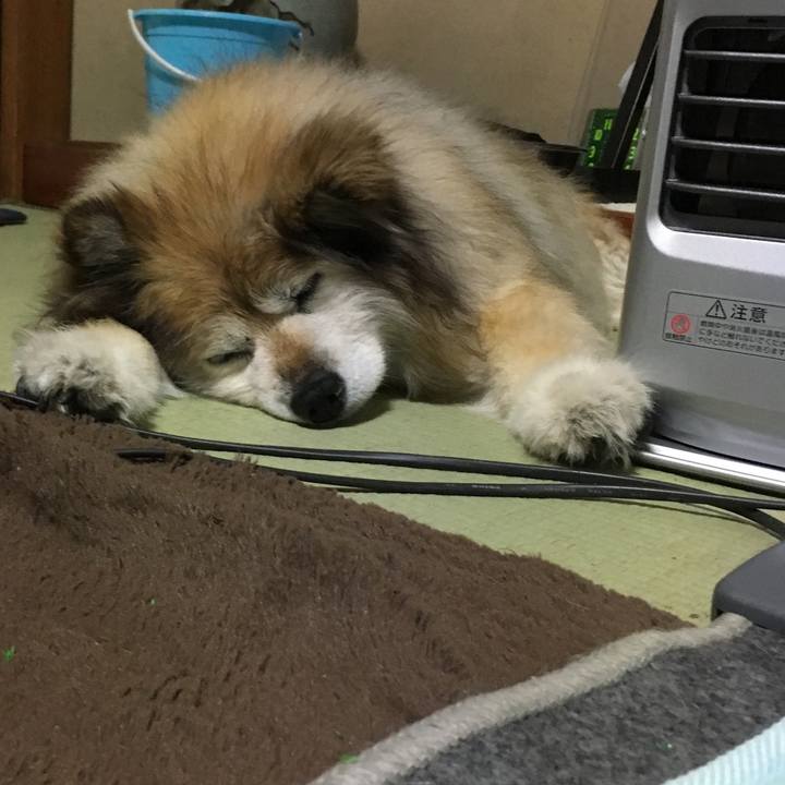 D9c6240e e434 4a38 acc6 a9811f5e7ba1 1609202800076