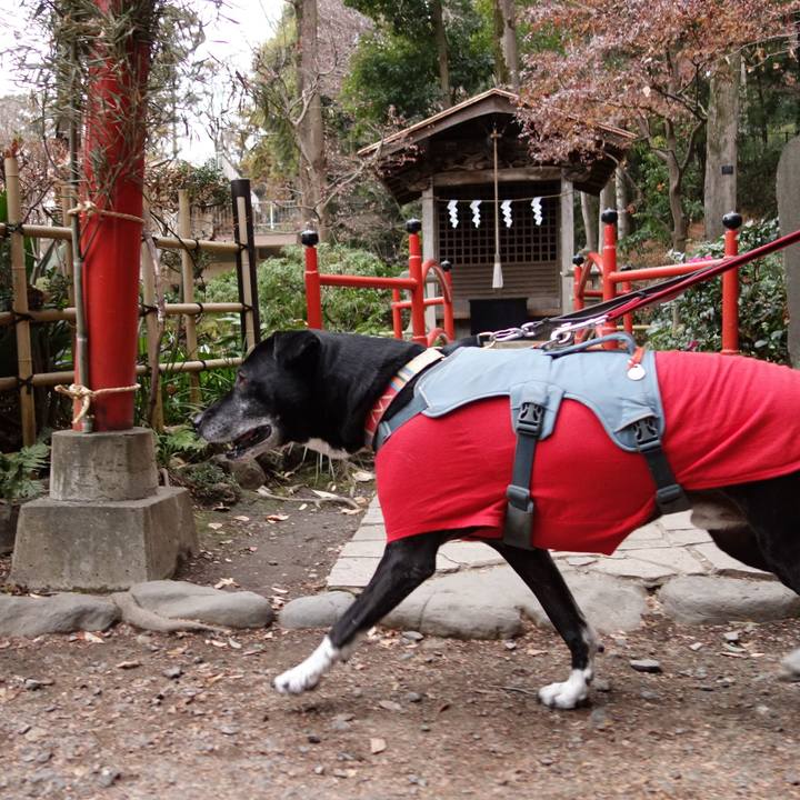 D9c6317c 5b92 49c1 8ca2 684e7b6867a2 1736130054380