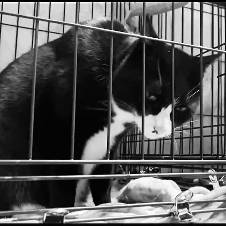 D9c63358 3aa6 4f99 8ced bfdf4766f509 1739792882198