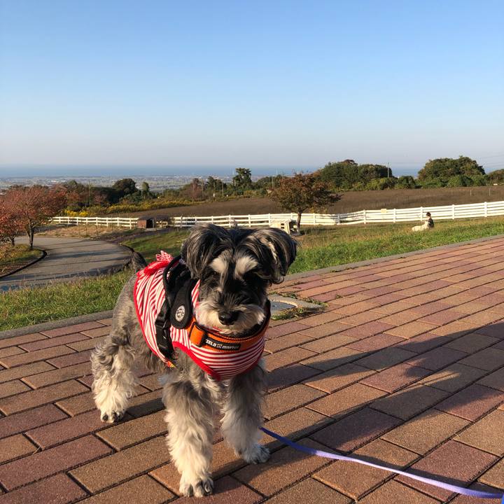 D9c6392c d1fb 42fd a59b d326bcabc49e 1699054859824