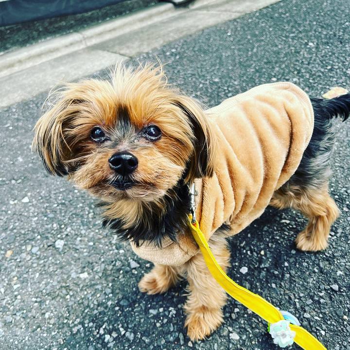 D9c68b74 294f 45c7 a5d2 e38b32906971 1667788822301