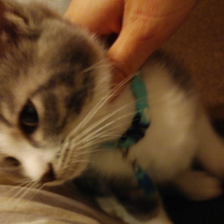 D9c69d00 059b 42f4 a846 af7bc9753ed1 1562601373446