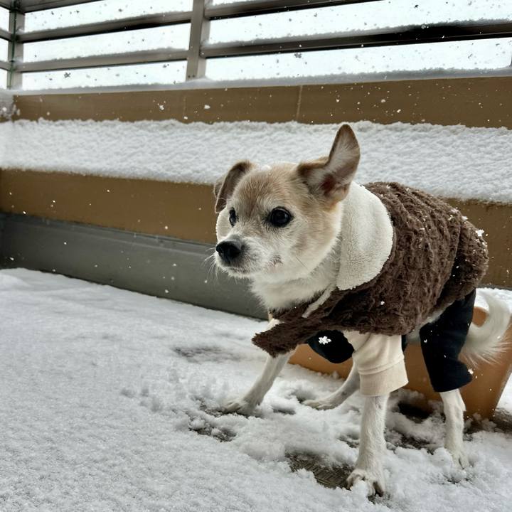 D9c6ae0e 0769 4d16 8239 4714d21a1d92 1770513046042