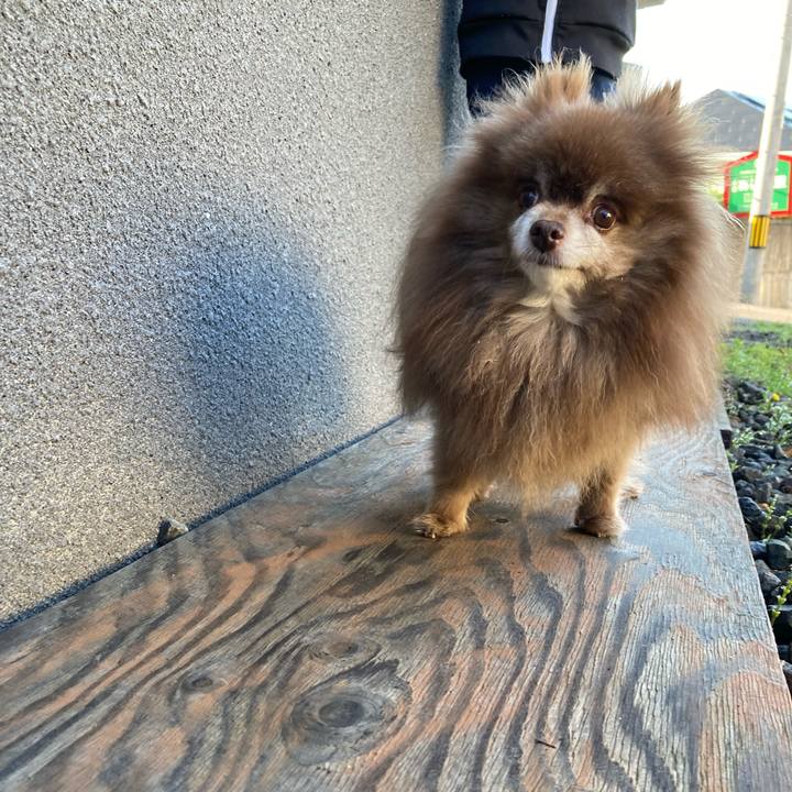 D9c725a2 4375 491c 8311 f4c24712573a 1718836517919