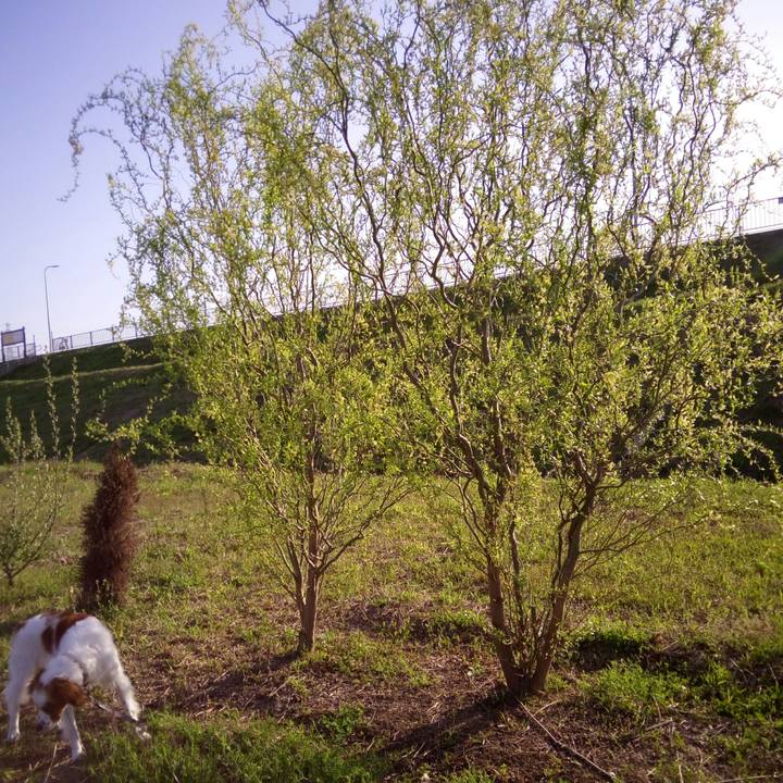 D9c73720 a976 49fe 8647 c3c58f08cced 1522368488347