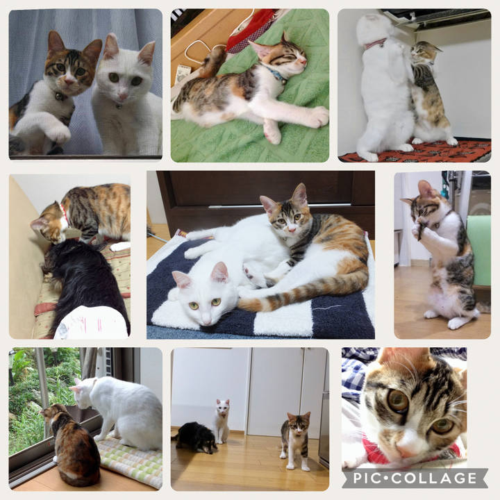 D9c748d0 31ee 4505 8c23 b56cfd7e1a54 1754368331423