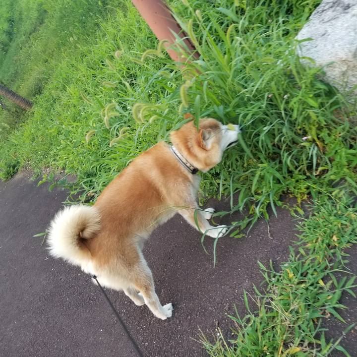 D9c77ac3 b75d 4496 b99f ac0fc0523477 1659259065284