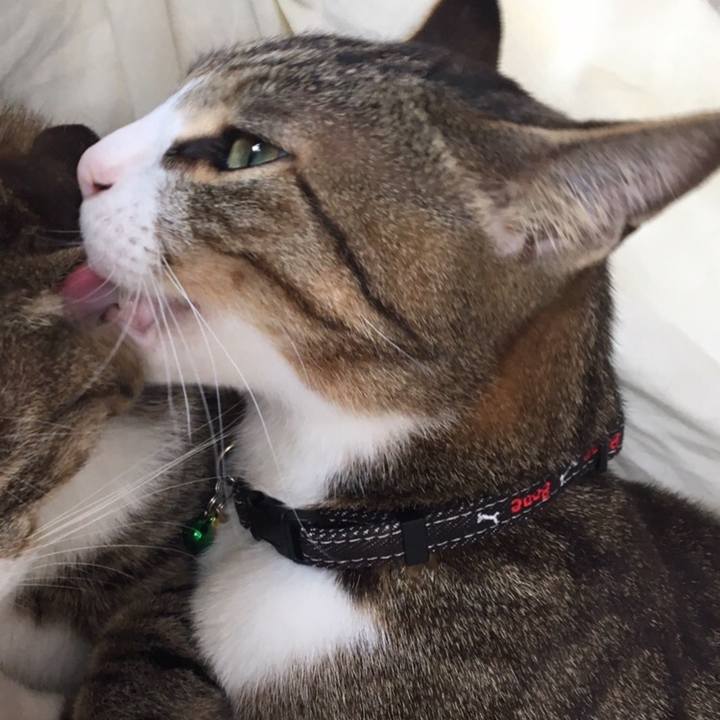 D9c7d55f 96d1 42dd ab25 1f849c9ef377 1686129131587