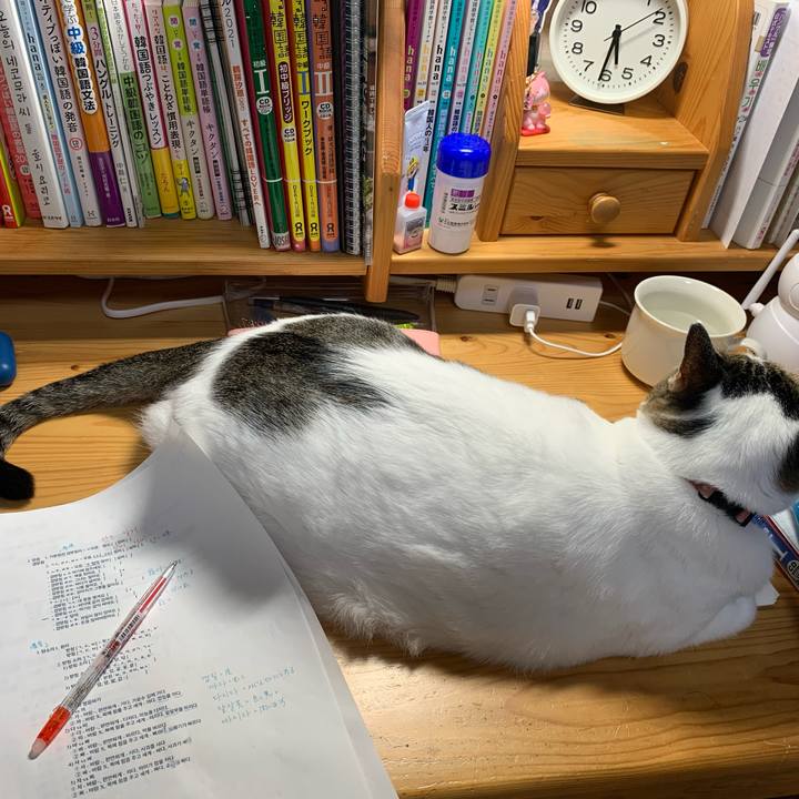 D9c7f294 b599 4a03 8279 c671c21d611d 1634677430986