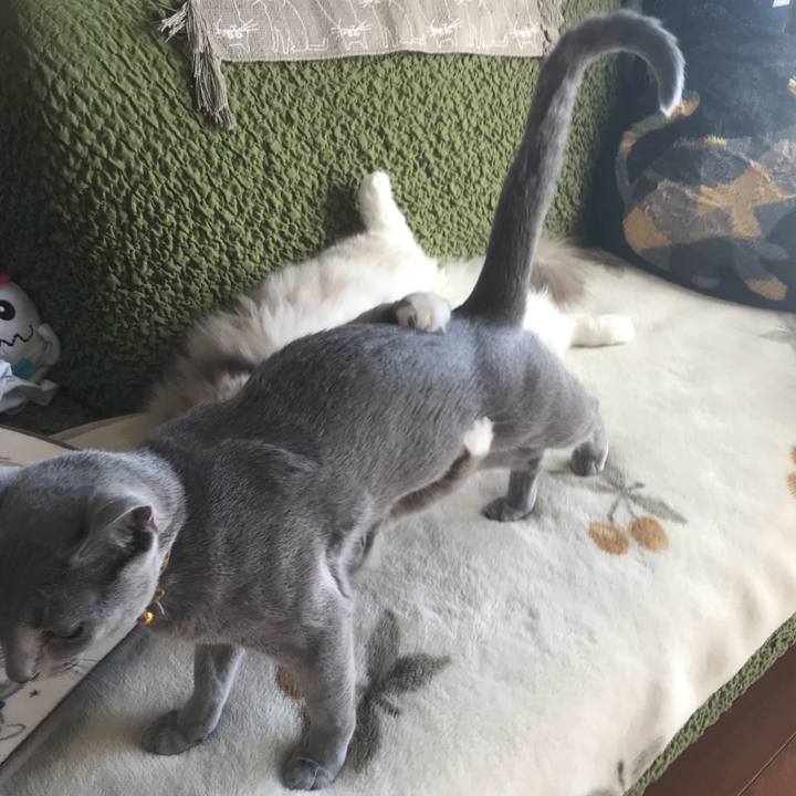 D9c7fc11 37f0 41b2 8931 edc32a70e359 1514603919027