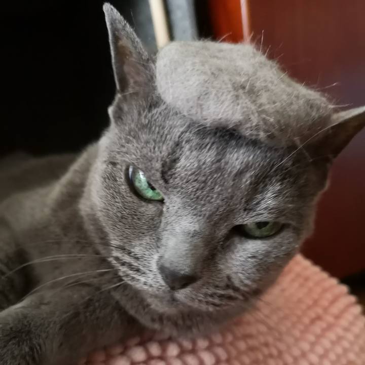 D9c8019b 3af0 459f b1a1 30ff278f8ea6 1595660018583