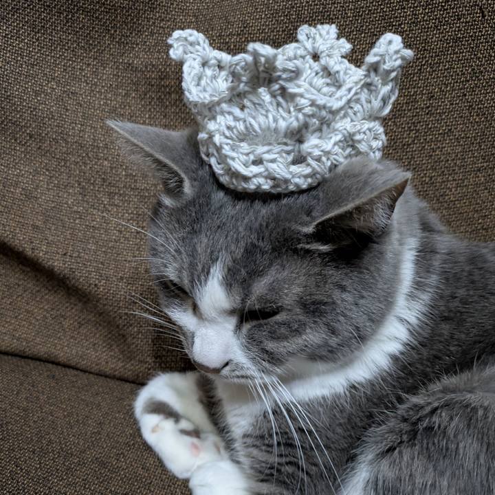 D9c8118e b551 4ad4 98c8 a589ad7952a6 1773326259456