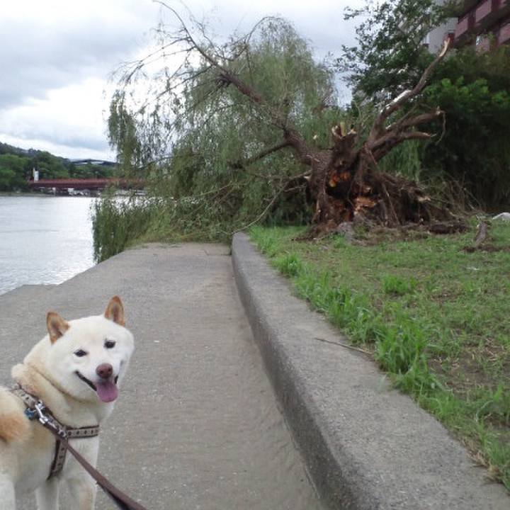 D9c81f3e 6e8a 4e56 abc3 7d53c6c07e7a 1658630530524