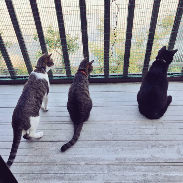 D9c82029 91d3 4118 a744 18aeb78e0ff9 1524536128616