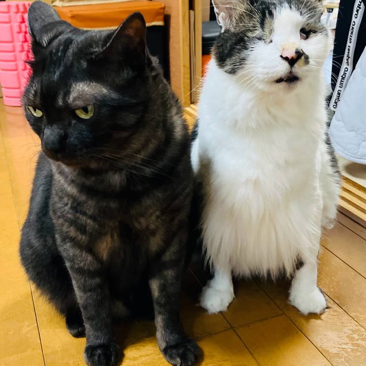 D9c82c47 a142 47bb a07d 24c30c15cc75 1750290741478