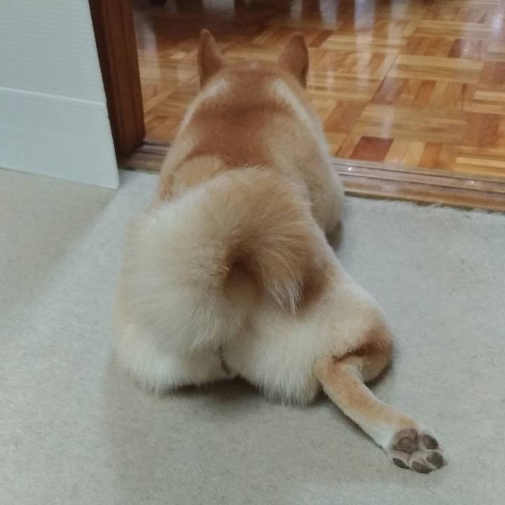 D9c840d4 5333 4da7 8e34 d2d20dcb608b 1533383826194