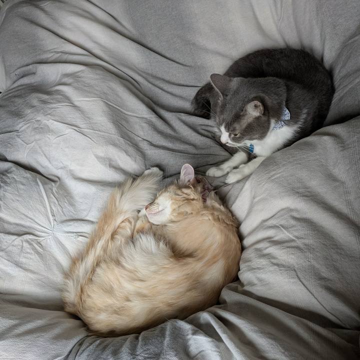 D9c88d11 f04d 40a8 9b03 51753feb92c2 1761354260019