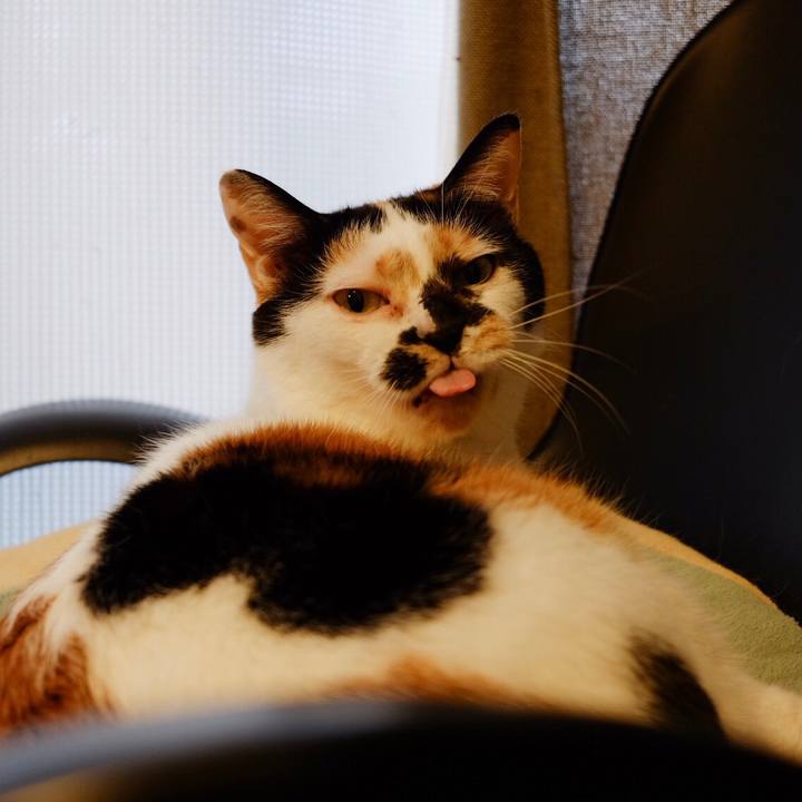 D9c89d04 f8cf 431f aab8 f423d9cc0dd4 1551258430771