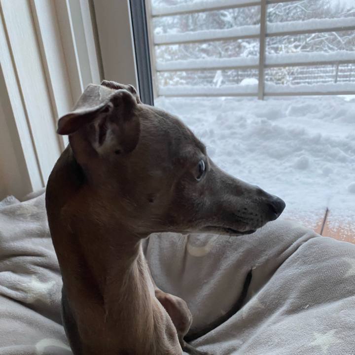 D9c89e91 24be 4927 8b44 06880081580c 1770537466252