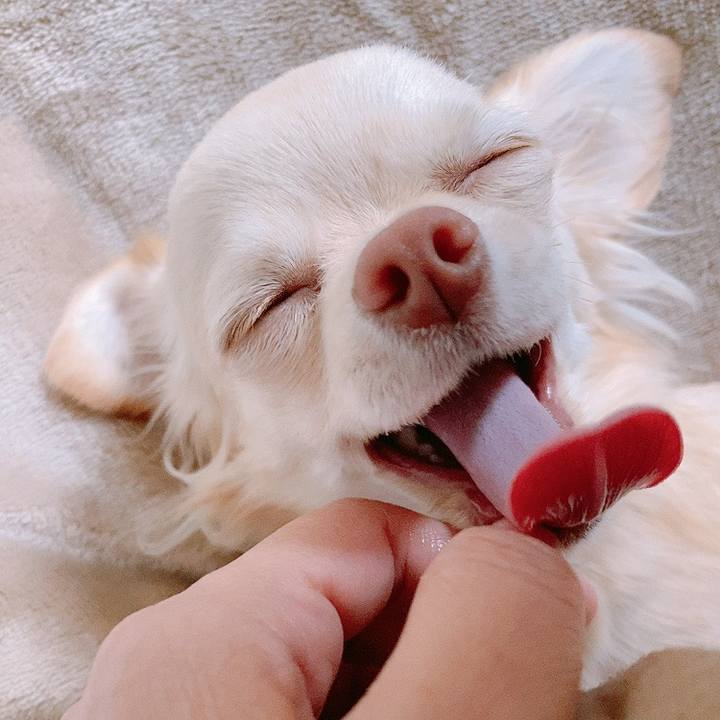 D9c8aa46 9fe8 4d11 970c 97d2654df30d 1611817835938