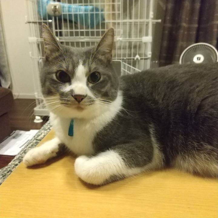 D9c8da03 2fc3 43cf b90e 0bc0b65595fa 1608499186154