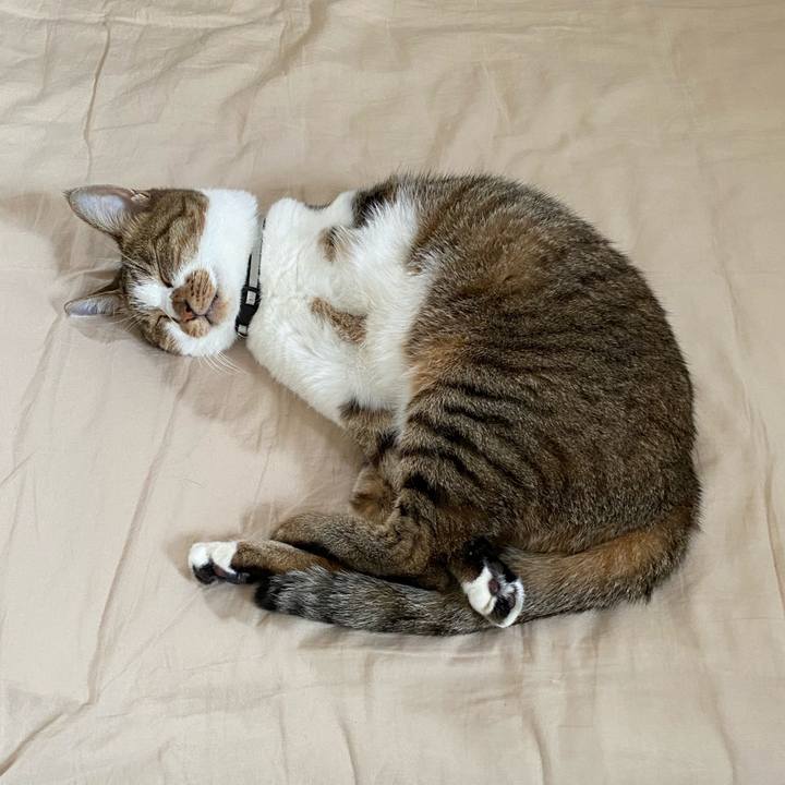 D9c913ca d884 4ad5 9615 ac6e901d6192 1601385311611