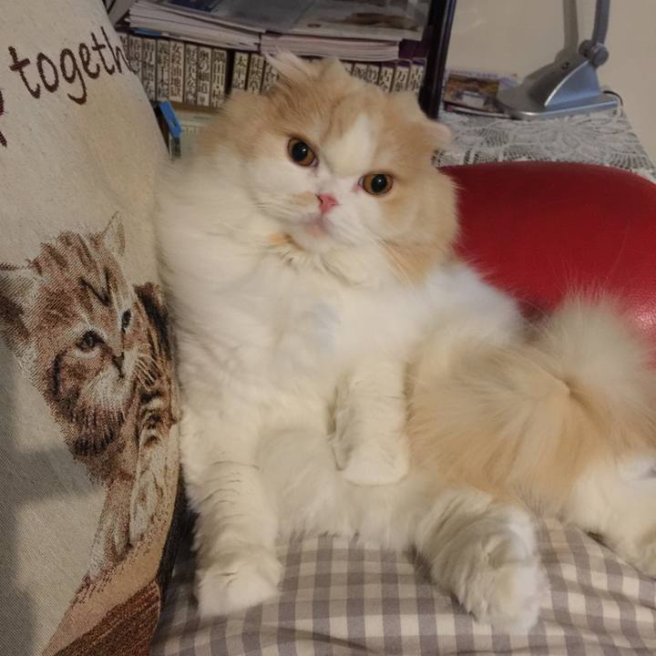 D9c919de a7d2 4b5d 861a 5bef13d04790 1521982729604