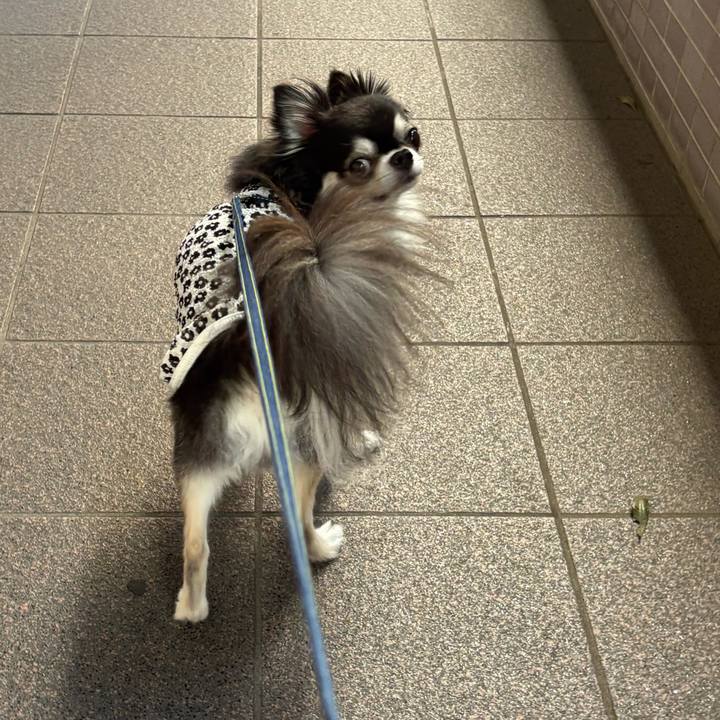 D9c95ccc ad60 4661 90c5 910e855b5b35 1750608957151