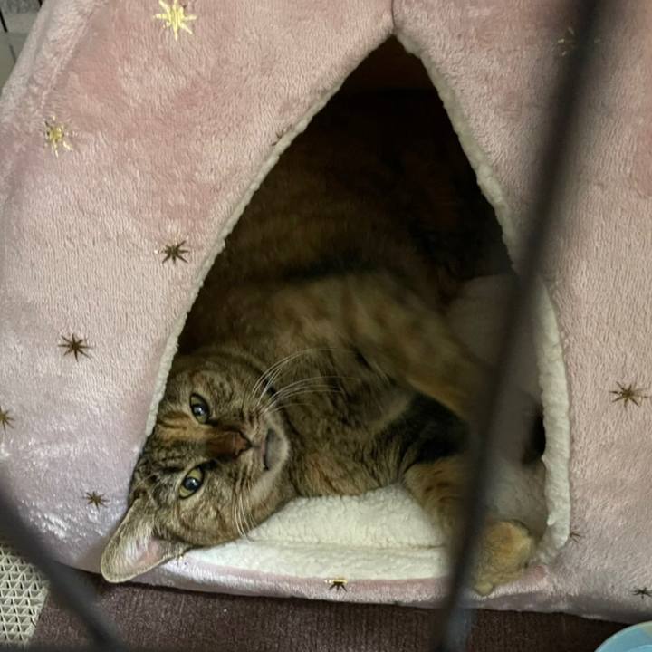 D9c97795 f17a 4636 a9fc 408c4a3d7f76 1638707942569