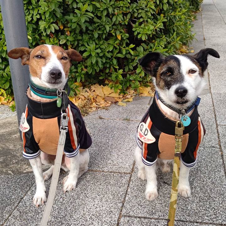 D9c99550 9b0f 48b1 a0b7 58580965ebf4 1704156851647