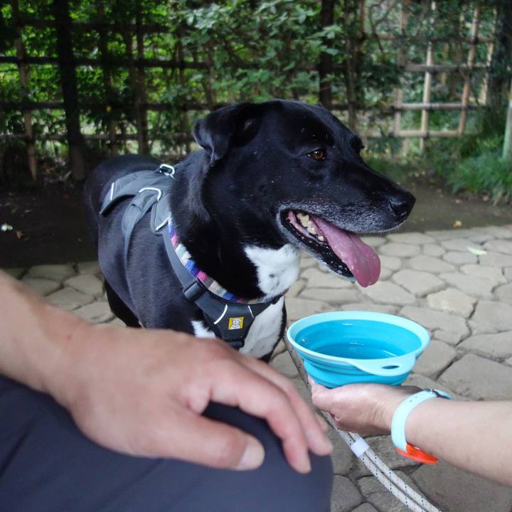 D9c9b439 668c 410d 9250 4f2f48b800c6 1656031809813