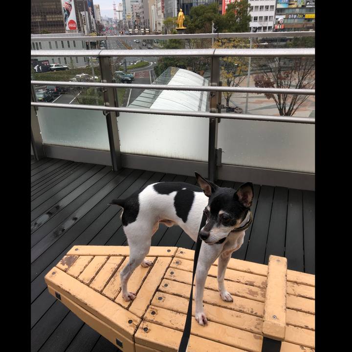 D9c9d358 d591 4384 9125 d31c2852b785 1543819020847