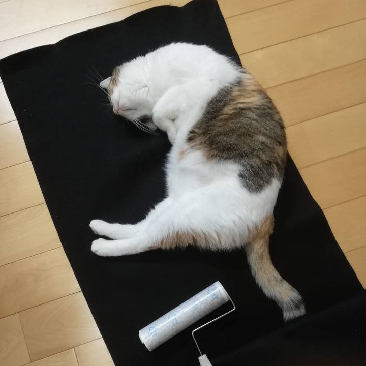 D9c9f564 3fca 4878 b2f1 acaca9aa3547 1665216255459