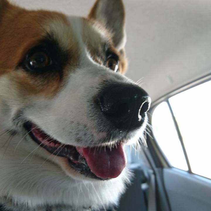 D9c9f8af dfb8 46ef b550 1ac69a858782 1637939669388