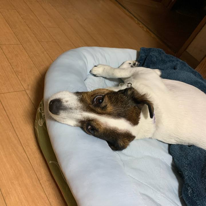 D9ca2021 da44 49d6 8830 9329e8c5f0f9 1589887290768