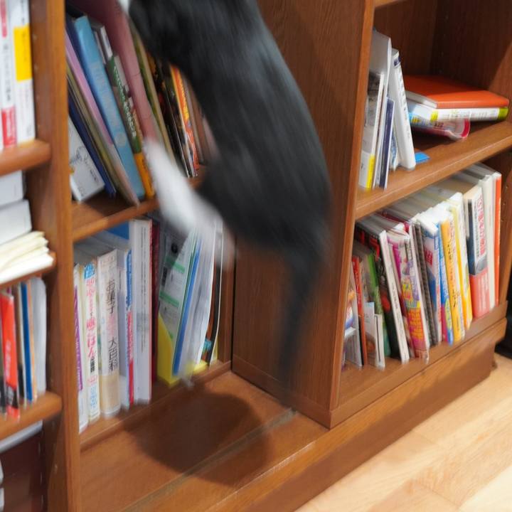 D9ca89fa 39a0 4449 a444 7ffa841a3e85 1579737340491