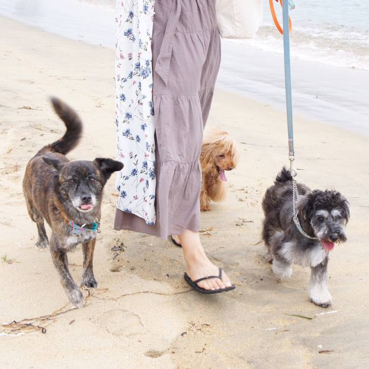 D9ca8f2c b74e 44e5 9e9f 55bd57268f97 1567004928423