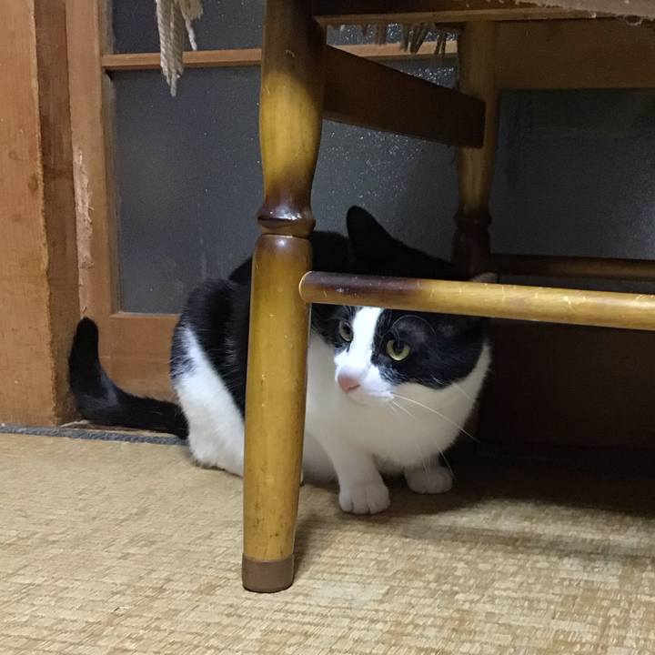 D9caa9b3 7ccf 40c9 931a 1da89234df8f 1686057572119