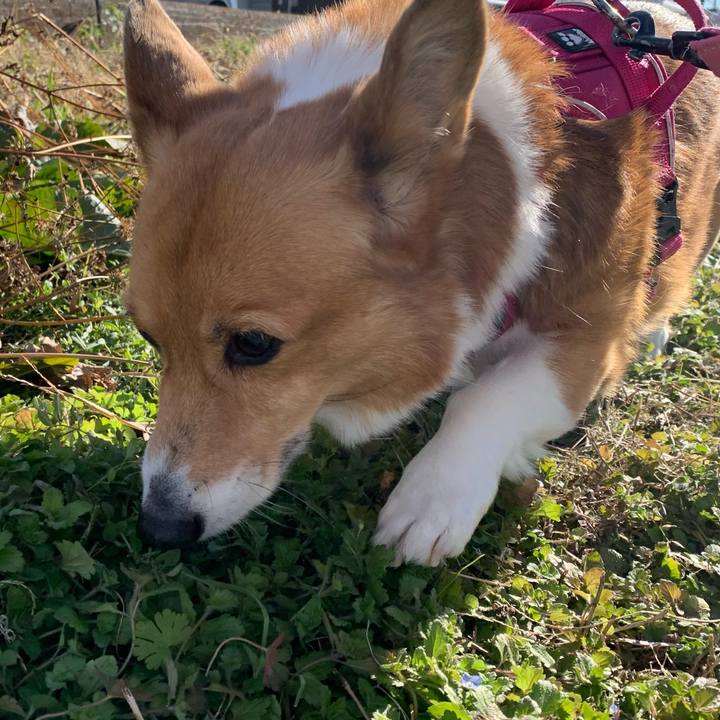 D9cae8c2 de45 4c45 9f26 fb625db34993 1703312079084